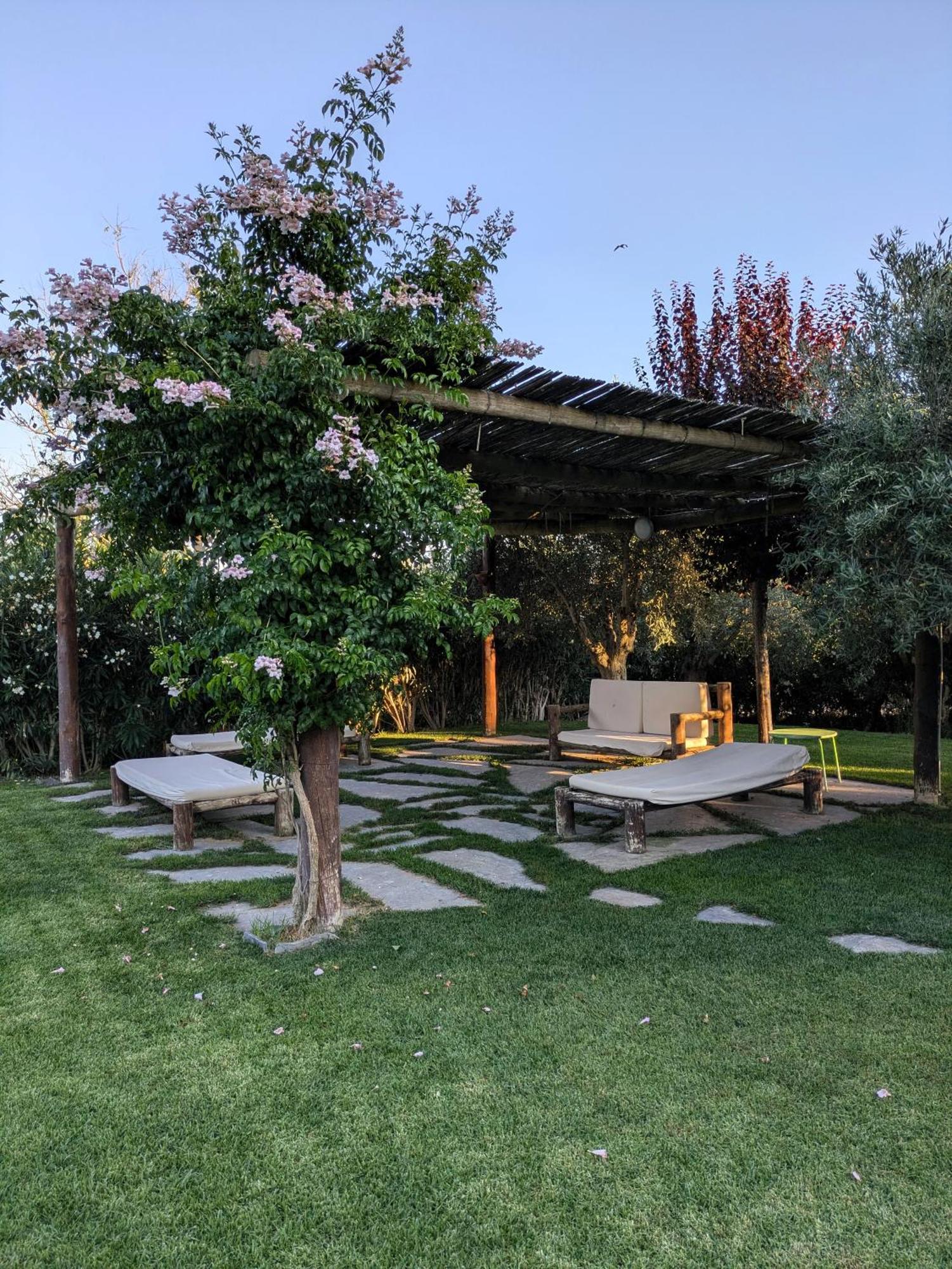 Casas De Juromenha Guest House Exterior foto